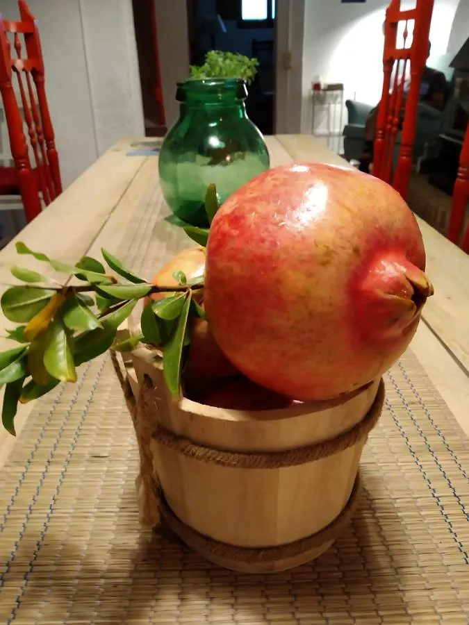 Les Magranes Bed & Breakfast Argelaguer