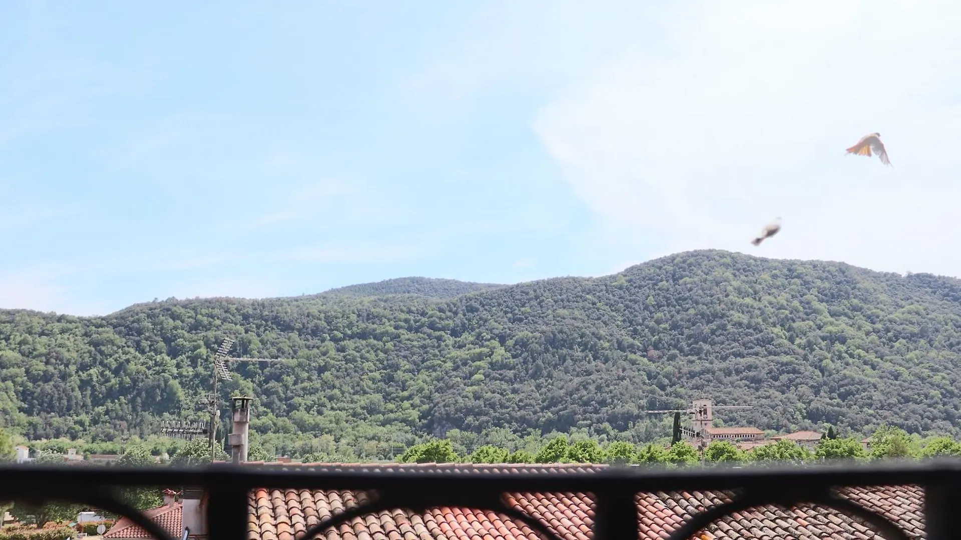 Les Magranes Bed & Breakfast Argelaguer Spain